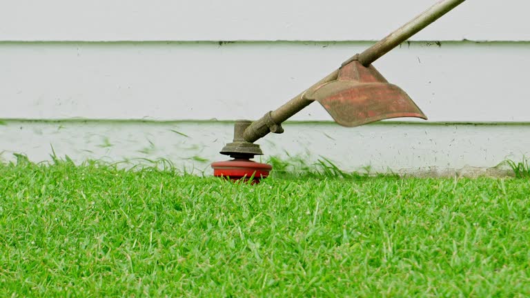 Best Lawn Irrigation Installation and Maintenance  in Caoncito, NM